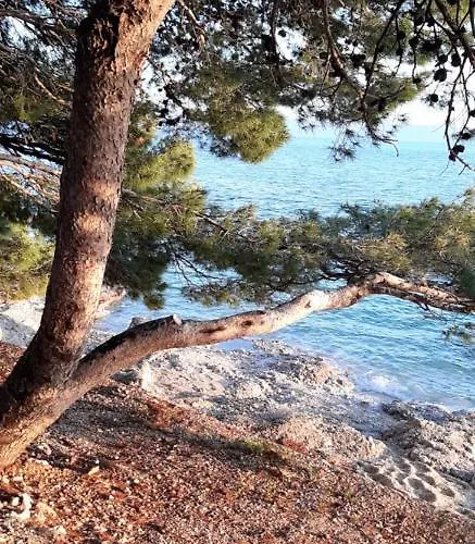 Rita Διαμέρισμα Μακάρσκα